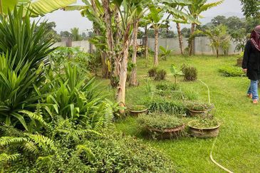 🔥FREEHOLD NON BUMI LOT 1.5 STOREY SEMI D TAMAN NUSA INTAN SENAWANG 