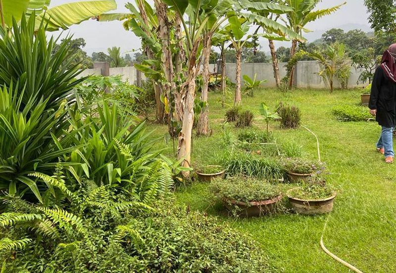 🔥FREEHOLD NON BUMI LOT 1.5 STOREY SEMI D TAMAN NUSA INTAN SENAWANG 