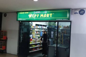 Vista Millennium Condominiums