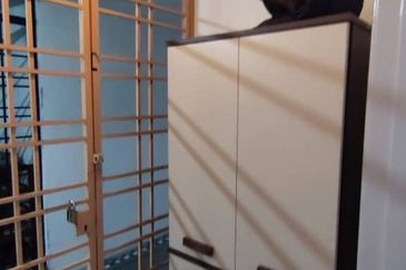 Vista Millennium Condominiums