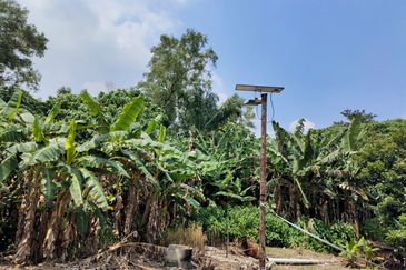 Kampung Baru Sungai Buloh