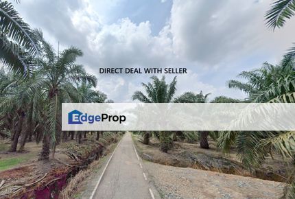 Batu Pahat (Parit Raja) Palm Oil Plantation for sale, Johor, Batu Pahat
