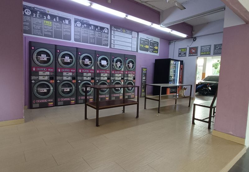 Vista Millennium Condominiums