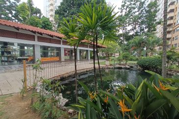 Vista Millennium Condominiums