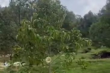 Jalan Lama Bentong - Karak