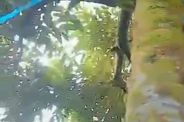 Jalan Lama Bentong - Karak