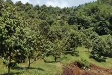 Jalan Lama Bentong - Karak