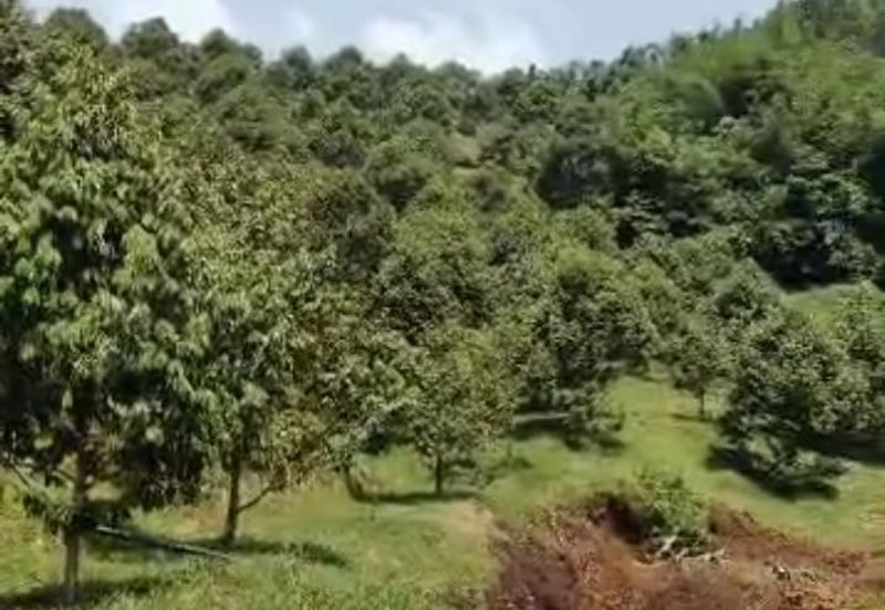 Jalan Lama Bentong - Karak