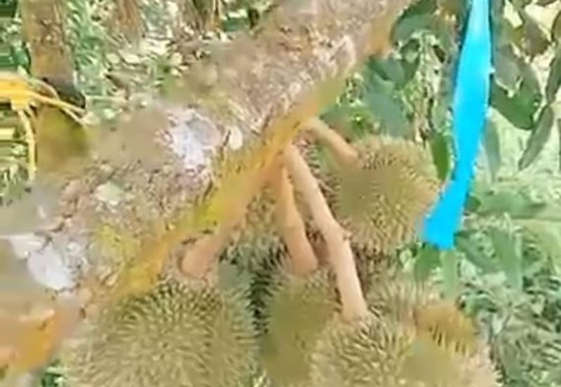 Jalan Lama Bentong - Karak