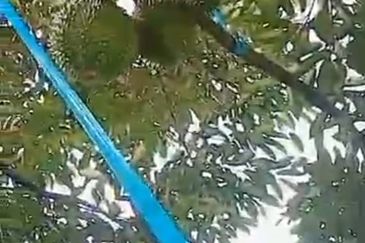 Jalan Lama Bentong - Karak