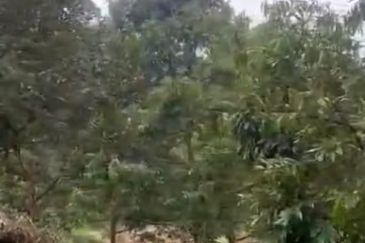 Jalan Lama Bentong - Karak