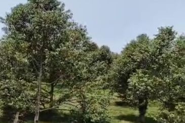 Jalan Lama Bentong - Karak