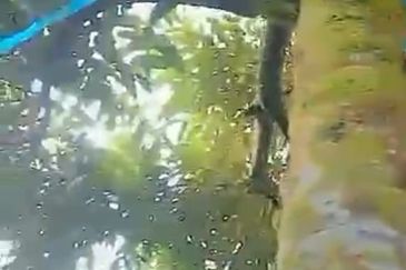 Jalan Lama Bentong - Karak