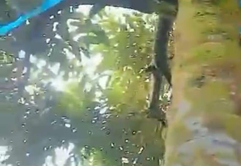 Jalan Lama Bentong - Karak