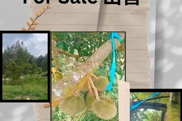 Jalan Lama Bentong - Karak