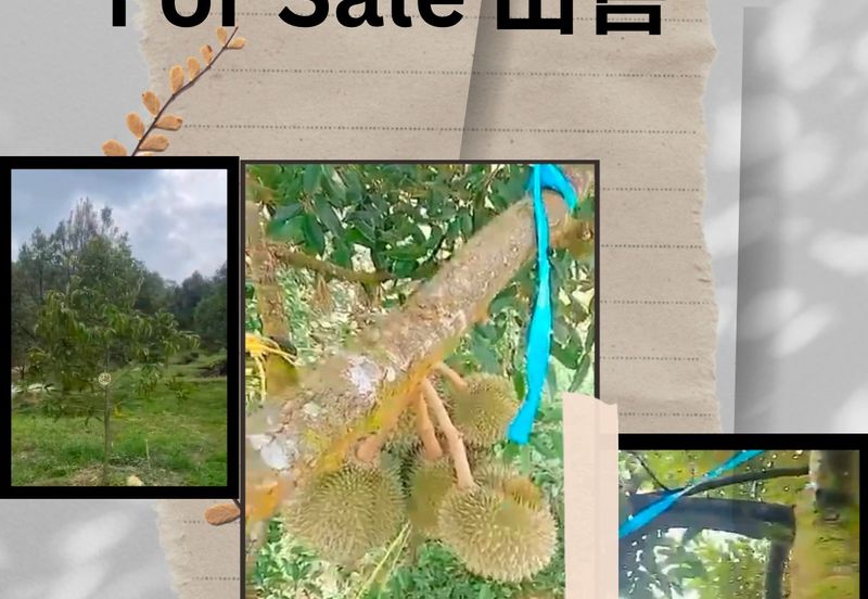 Jalan Lama Bentong - Karak