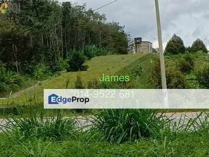 2.4 Acres Agriculture Land with Durian Jementah Segamat near Tangkak Asahan, Johor, Jementah