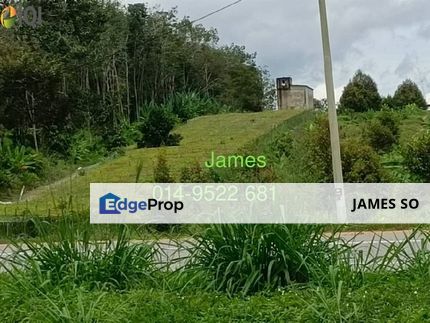 2.4 Acres Agriculture Land with Durian Jementah Segamat near Tangkak Asahan, Johor, Jementah