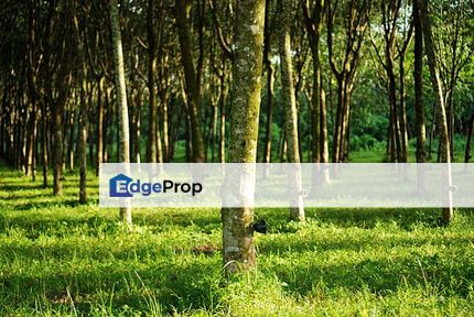 6.73acres FREEHOLD Kesang Selandar Melaka Agriculture Land, Melaka, Jasin