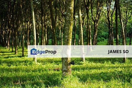 14.6acres FREEHOLD Land Chin Chin Jasin near Tangkak Melaka, Melaka, Jasin