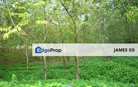 5acre FREEHOLD Bukit Senggeh, Selandar Jasin Melaka Agriculture Land, Melaka, Jasin