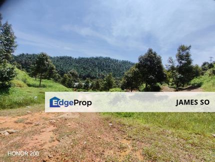 FREEHOLD 62.5acres Durian Farm Tampin Negeri Sembilan, Negeri Sembilan, Tampin