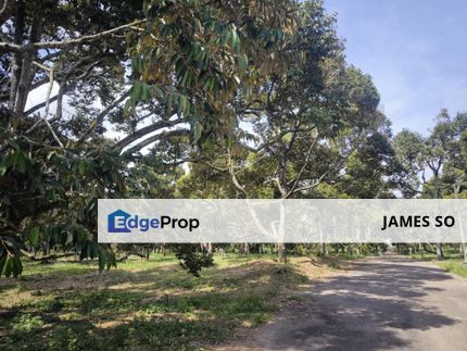 30acres Mainroad FREEHOLD Kesang Selandar Melaka Agriculture Land Durian Tunggal, Melaka, Jasin