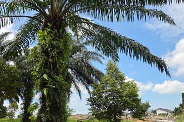 Bandar Baru Merlimau Utara