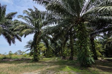 Bandar Baru Merlimau Utara