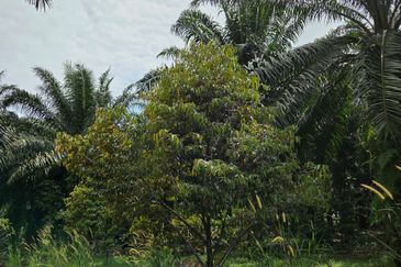 Bandar Baru Merlimau Utara