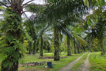 Bandar Baru Merlimau Utara