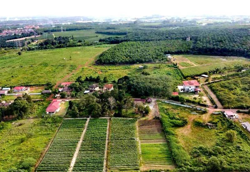 Taman Tanjung Minyak