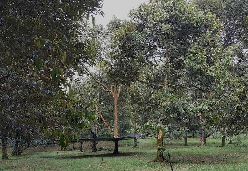 Taman Krubong Utama
