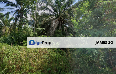 MCL Freehold 3.581acres Agriculture Land Sungai Udang near Paya Rumput Ayer Salak, Melaka, Sungai Udang