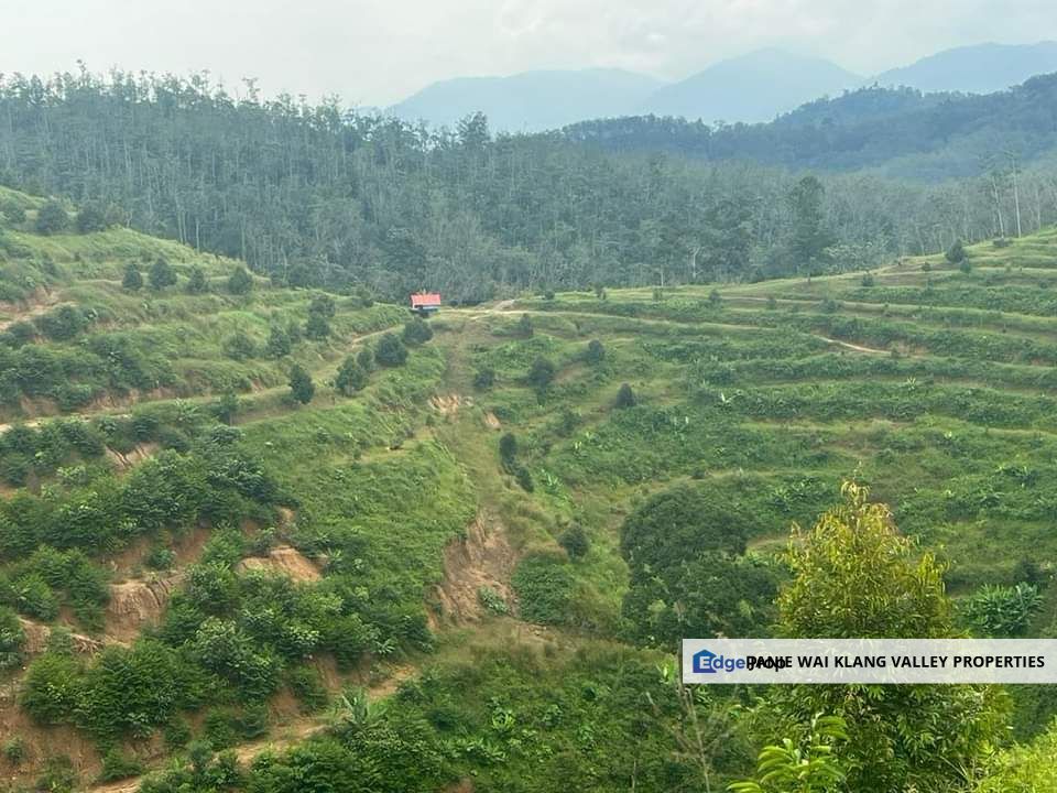 52 Acres Agricultural Land Durian Farm TITI Kuala Klawang Jelebu Negeri Sembilan, Negeri Sembilan, Jelebu