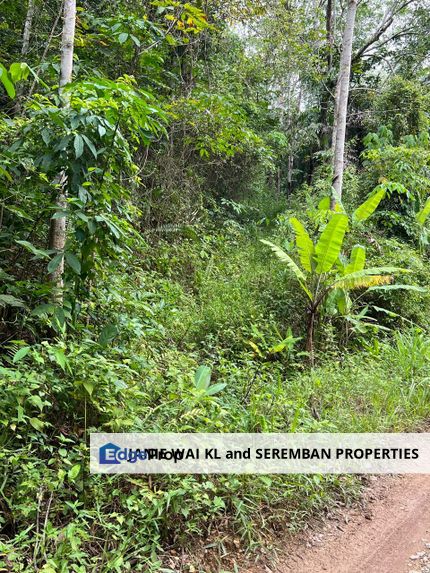 Bahau Jempol Negeri Sembilan Agricultural Land 4.9 Acres Land Planted Rubber Tree, Negeri Sembilan, Jempol