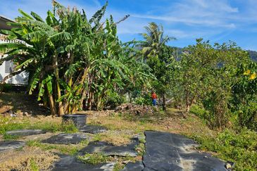 TAMAN BUKIT INDAH (1210)
