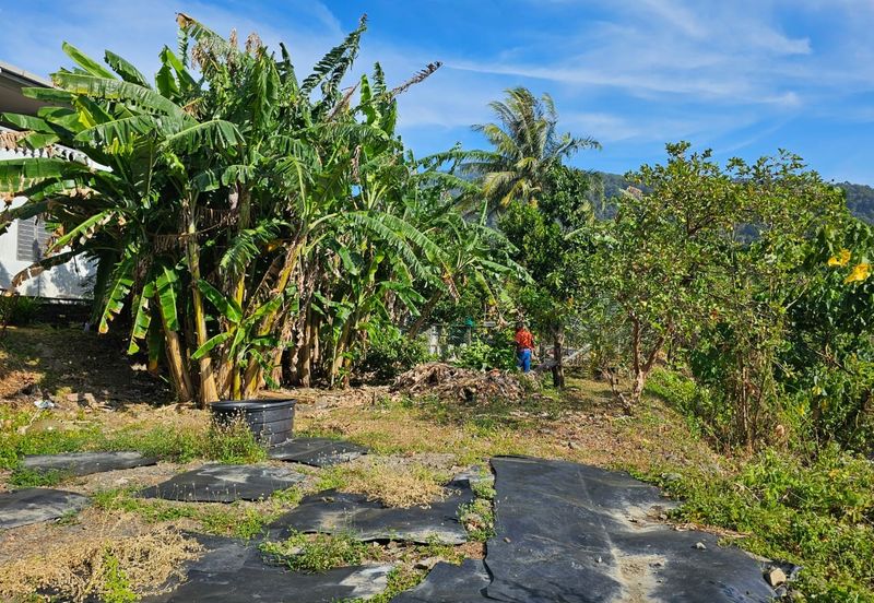 TAMAN BUKIT INDAH (1210)