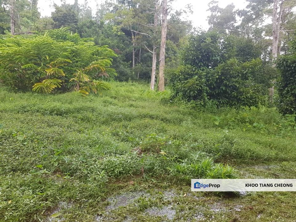 𝐀𝐠𝐫𝐢𝐜𝐮𝐥𝐭𝐮𝐫𝐚𝐥 𝐋𝐚𝐧𝐝(𝐅𝐫𝐞𝐞𝐡𝐨𝐥𝐝-𝐌𝐚𝐥𝐚𝐲 𝐑𝐞𝐬𝐞𝐫𝐯𝐞𝐬) 𝐚𝐭 𝐁𝐚𝐲𝐚𝐬, 𝐌𝐮𝐤𝐢𝐦 𝐔𝐥𝐮 𝐌𝐞𝐥𝐚𝐤𝐚, 𝐋𝐚𝐧𝐠𝐤𝐚𝐰𝐢, Kedah, Langkawi