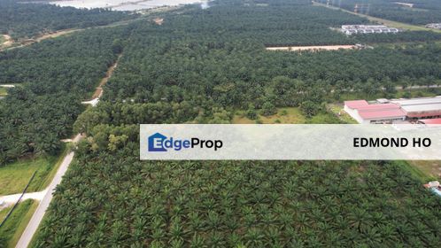 Jenjarom Land for Sale, Selangor, Jenjarom