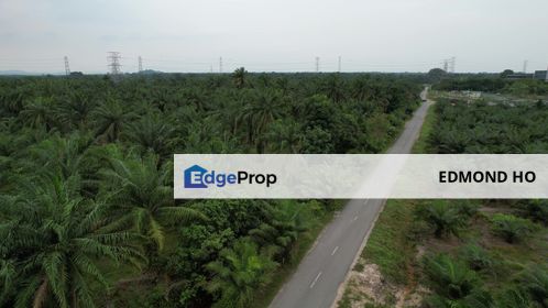 Banting / Dengkil / Olak Lempit Land, Selangor, Dengkil