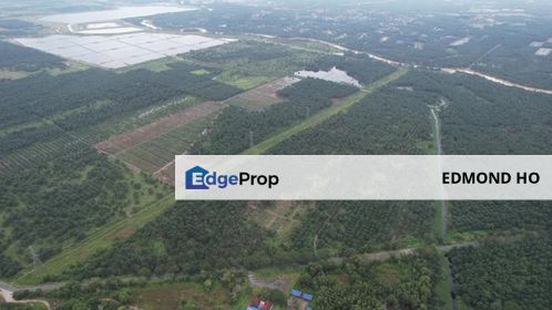 Banting / Dengkil / Olak Lempit Land, Selangor, Dengkil