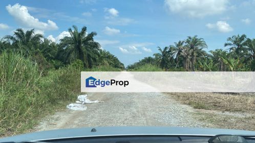 Agriculature land for sale at Johan Setia, Selangor, Klang