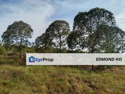 Simpang Petang Durian land for sale, Negeri Sembilan, Simpang Pertang