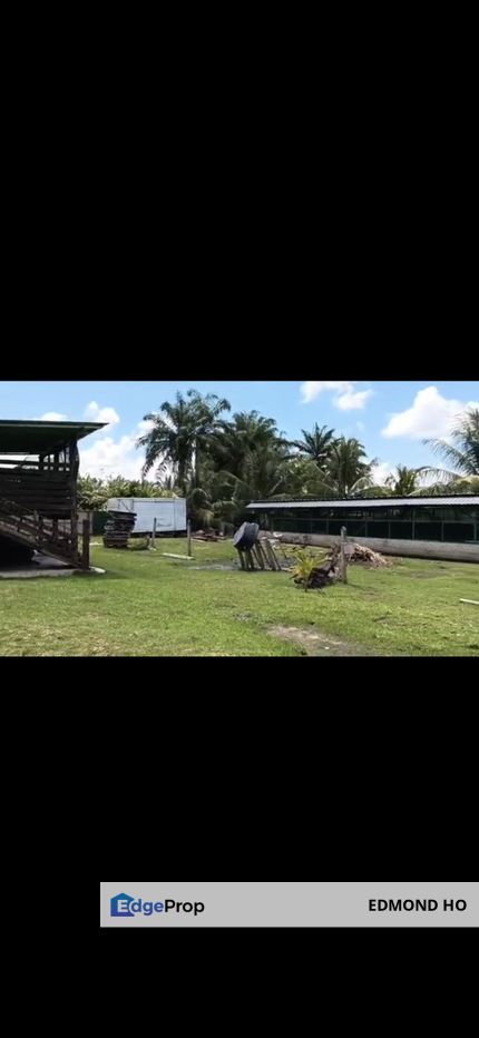 Agricutural land for sale, Selangor, Kuala Selangor