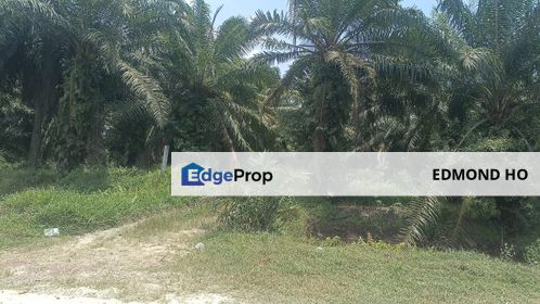 Tanjung Dua Belas / Bukit Perah land for rent, Selangor, Banting