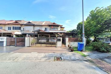 Anggerik Doritis @ Kota Kemuning