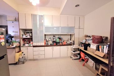 Anggerik Doritis @ Kota Kemuning