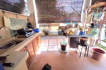 Anggerik Doritis @ Kota Kemuning