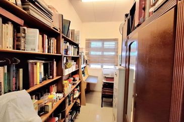 Anggerik Doritis @ Kota Kemuning